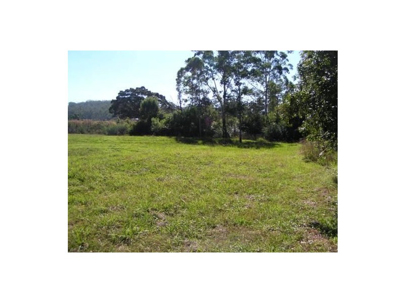 Logans Crossing NSW 2439