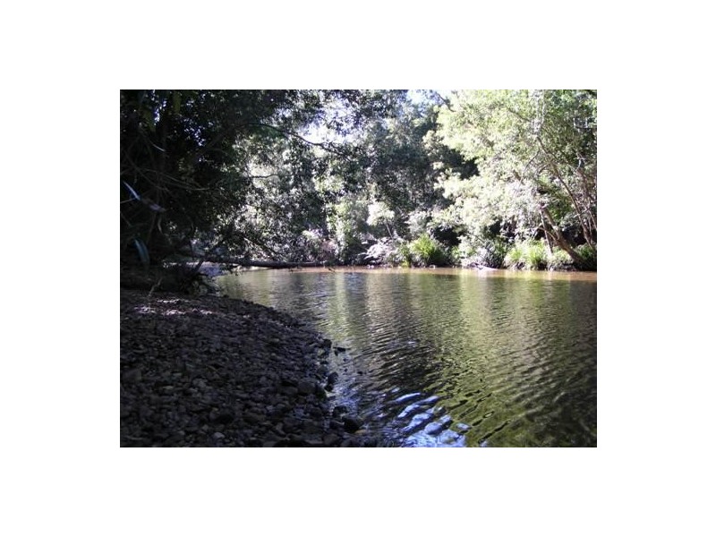 Logans Crossing NSW 2439