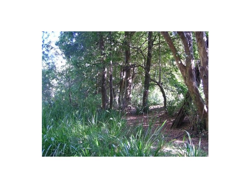 Logans Crossing NSW 2439