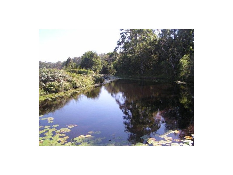 Logans Crossing NSW 2439