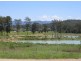 Gum Scrub NSW 2441