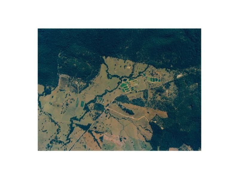 Gum Scrub NSW 2441