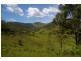 Yarras NSW 2446