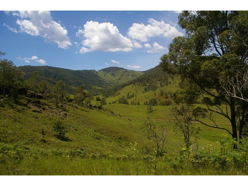Yarras NSW 2446