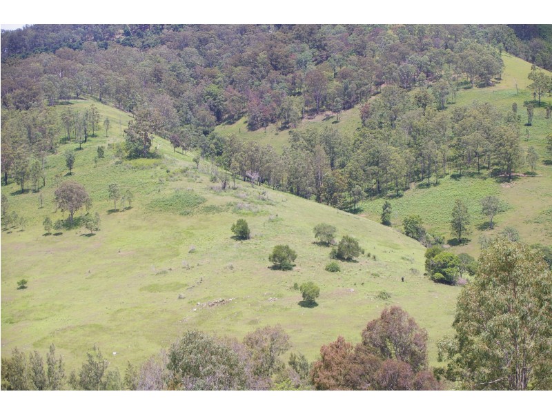 Yarras NSW 2446