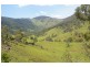 Yarras NSW 2446