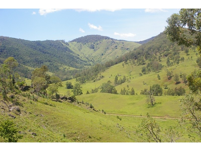 Yarras NSW 2446