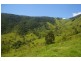 Yarras NSW 2446
