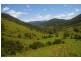 Yarras NSW 2446