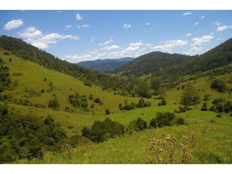 Yarras NSW 2446
