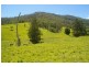 Yarras NSW 2446