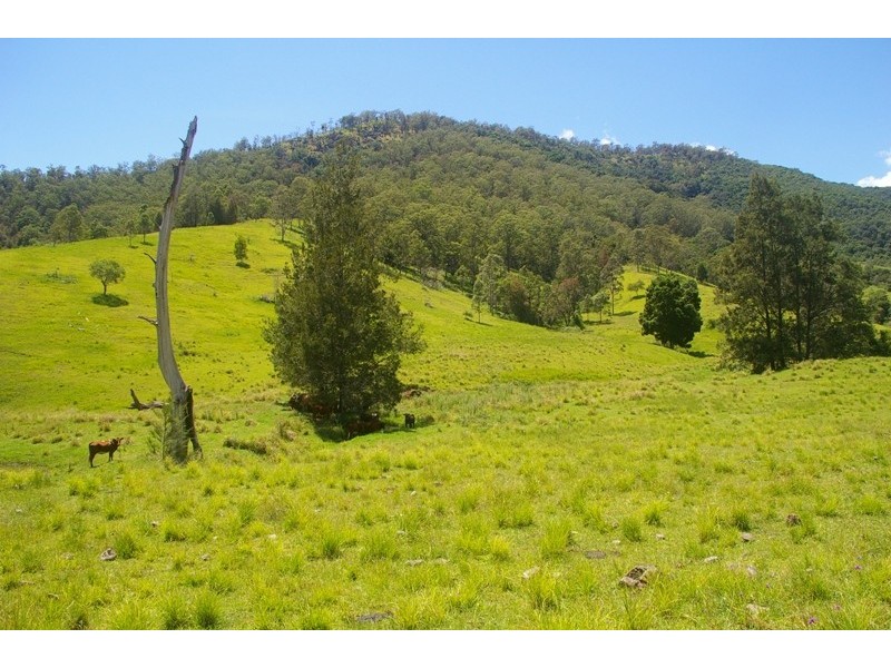 Yarras NSW 2446
