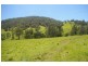 Yarras NSW 2446