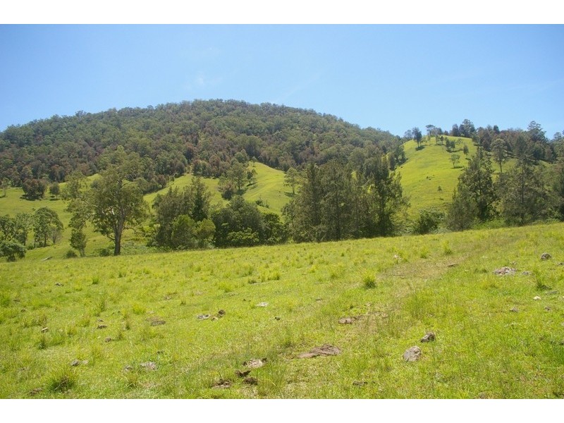 Yarras NSW 2446