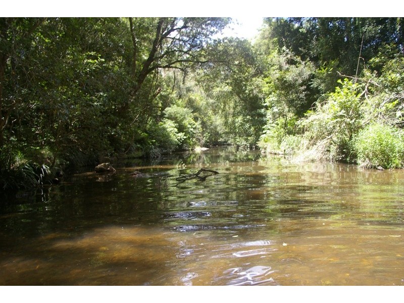 Yarras NSW 2446