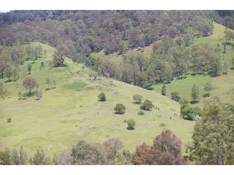 Yarras NSW 2446