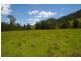 Yarras NSW 2446