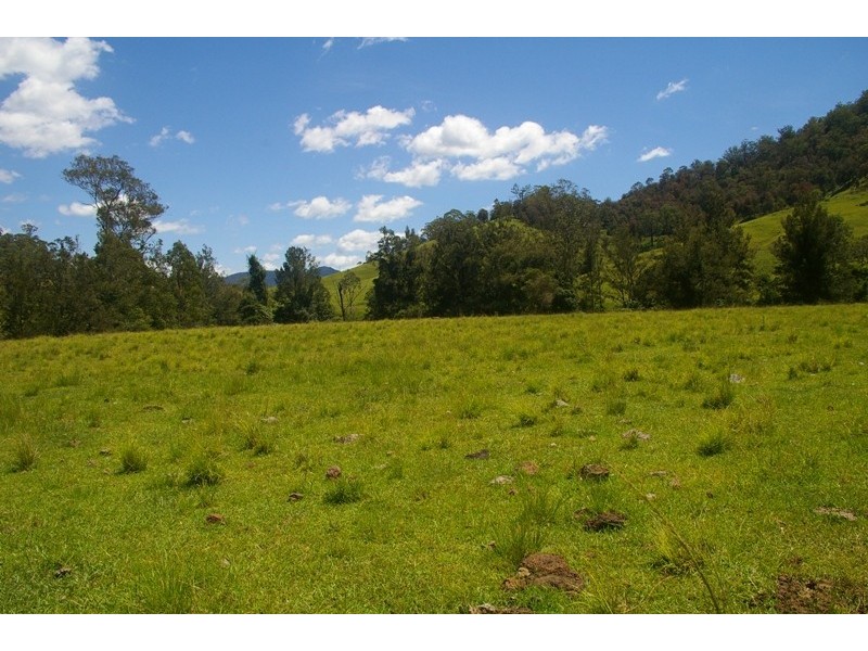 Yarras NSW 2446