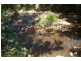 Yarras NSW 2446
