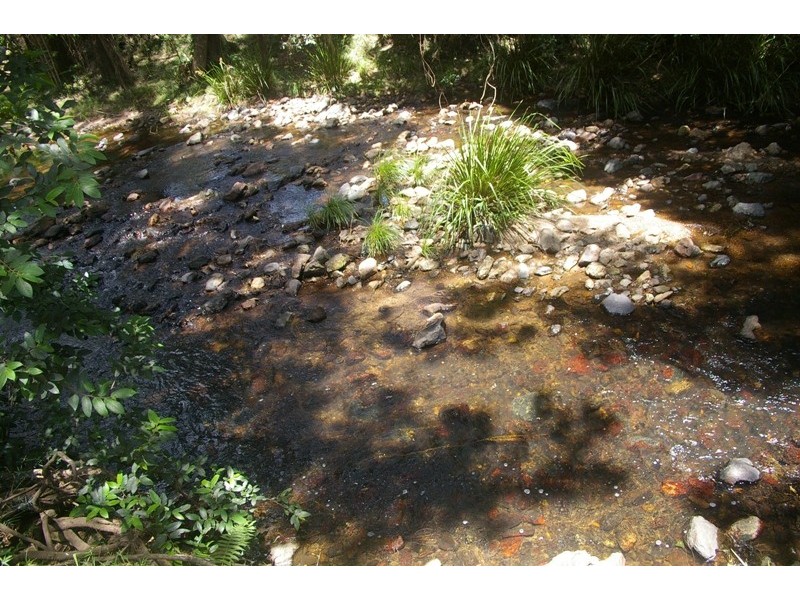 Yarras NSW 2446