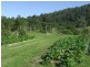 Pappinbarra NSW 2446