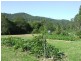 Pappinbarra NSW 2446