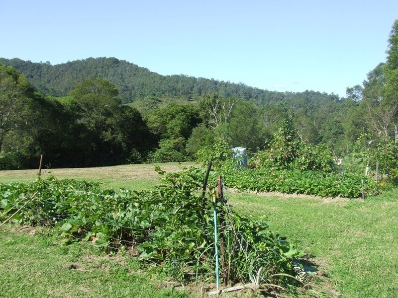 Pappinbarra NSW 2446