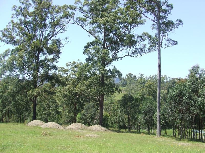 Wauchope NSW 2446