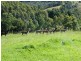 Warrell Creek NSW 2447
