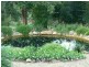 Warrell Creek NSW 2447