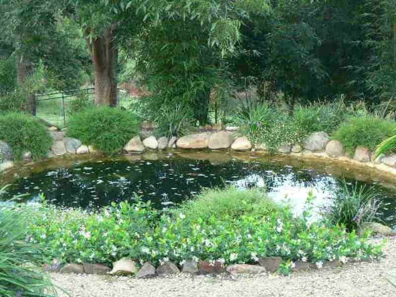 Warrell Creek NSW 2447
