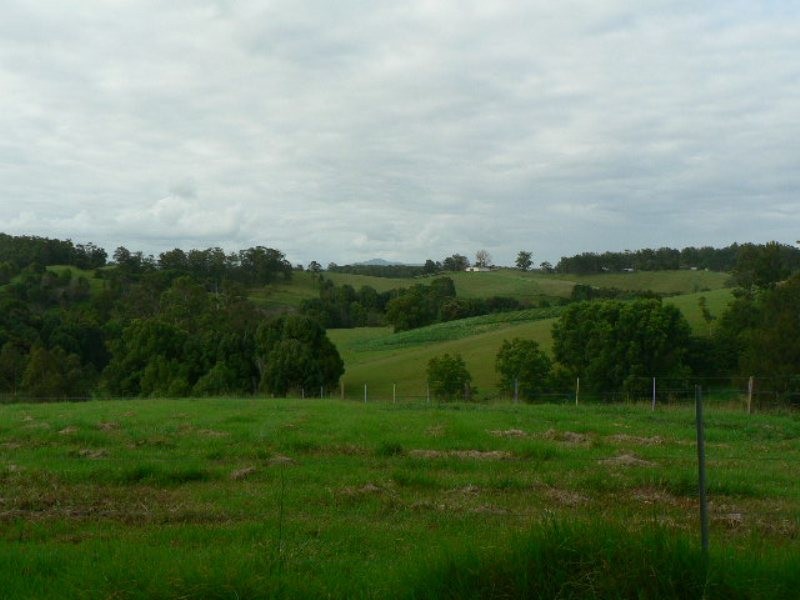 Warrell Creek NSW 2447