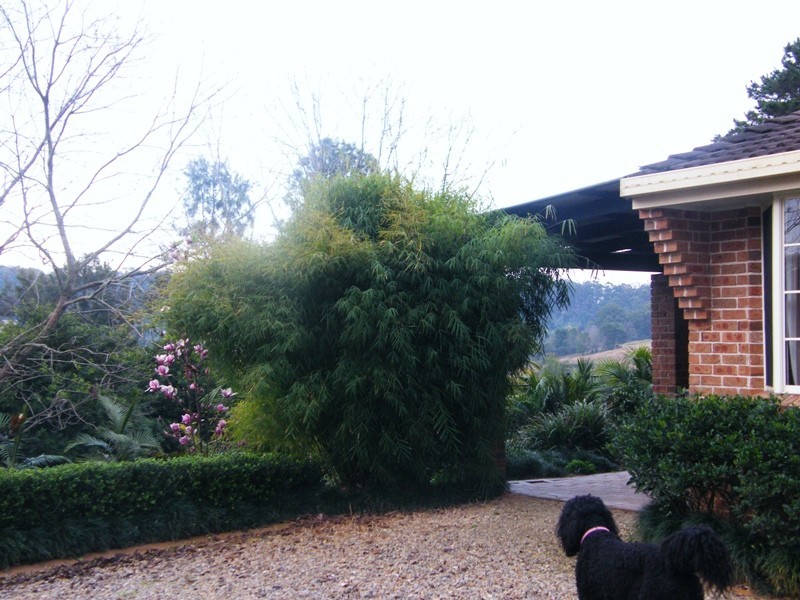 Warrell Creek NSW 2447