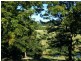 Warrell Creek NSW 2447