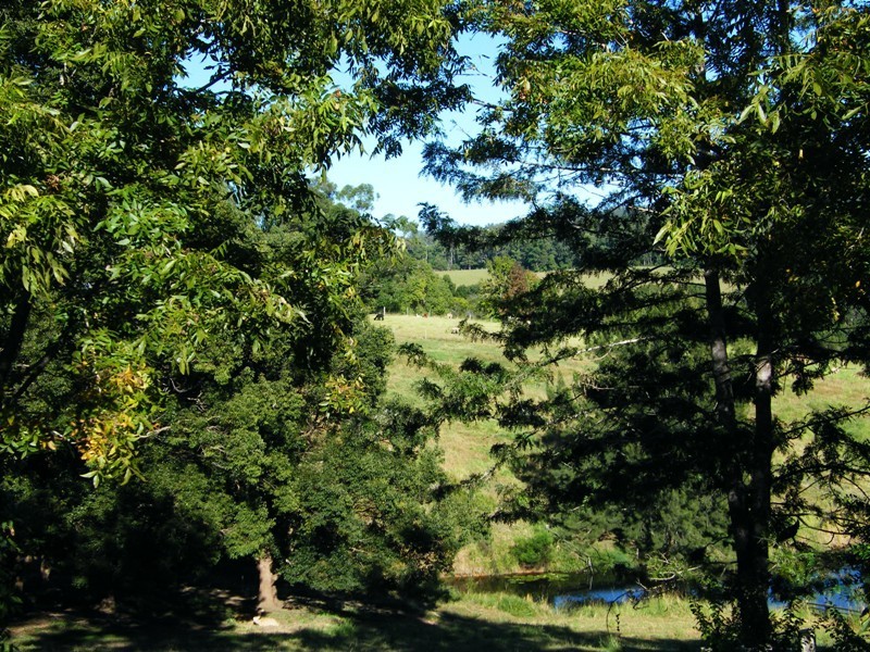 Warrell Creek NSW 2447