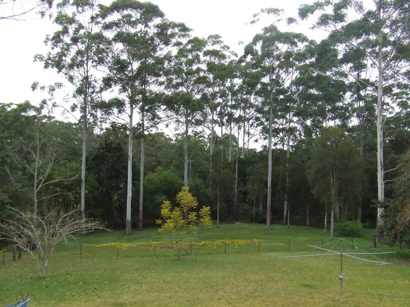 Aldavilla NSW 2440