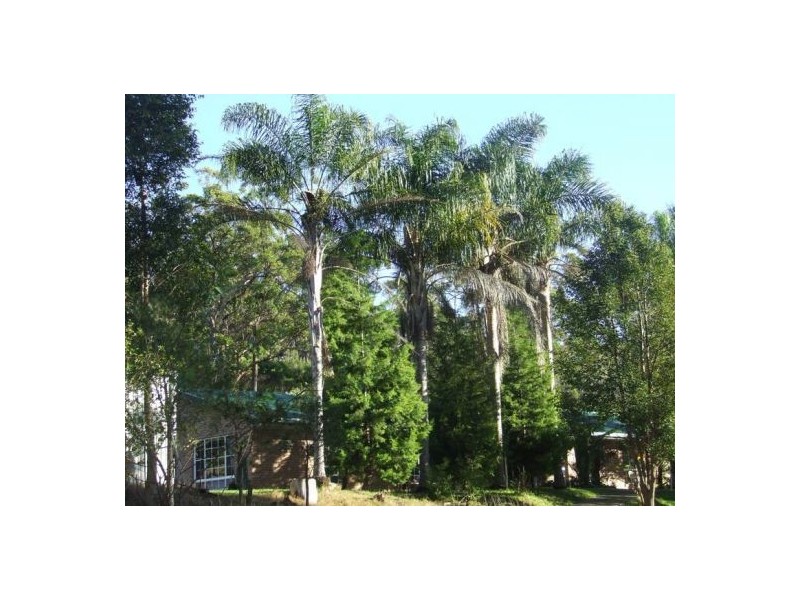 South Kempsey NSW 2440