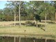 South Kempsey NSW 2440