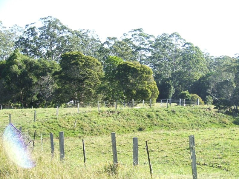 Gum Scrub NSW 2441