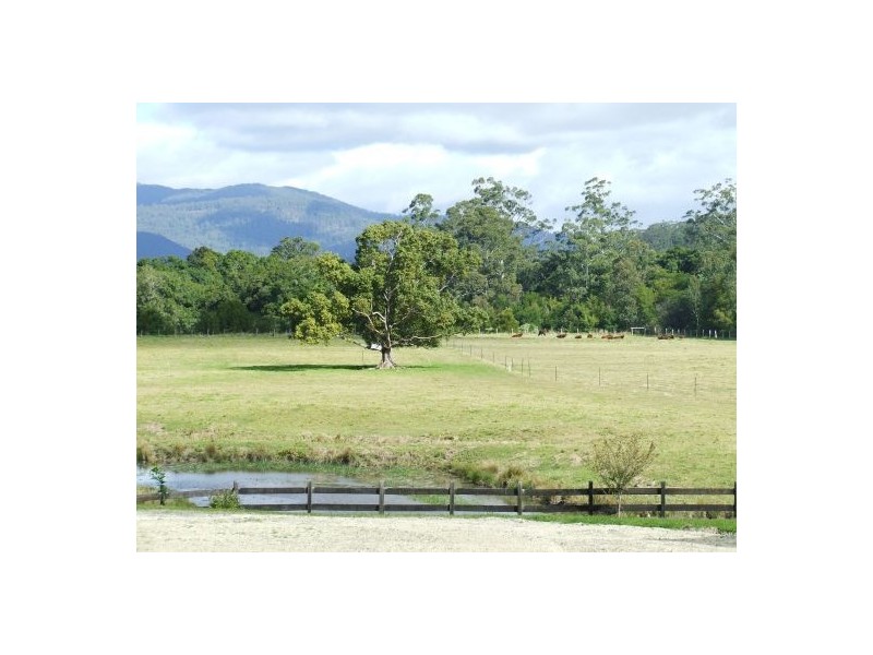 Kendall NSW 2439