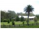 Kendall NSW 2439