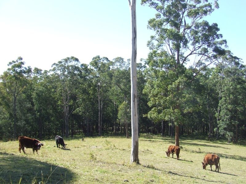 Dondingalong NSW 2440