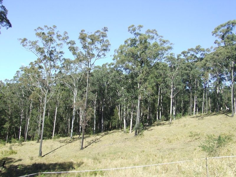 Dondingalong NSW 2440