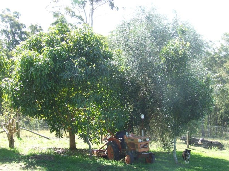 Dondingalong NSW 2440