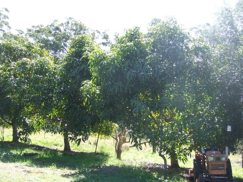 Dondingalong NSW 2440