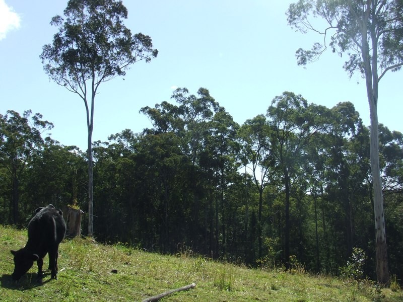 Dondingalong NSW 2440