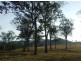 Bellbrook NSW 2440