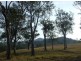 Bellbrook NSW 2440