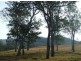 Bellbrook NSW 2440