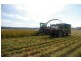 Kempsey NSW 2440